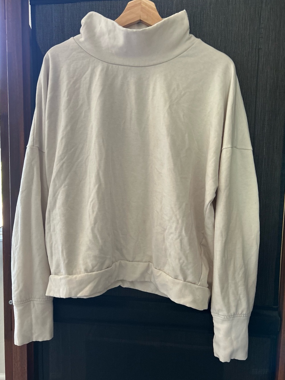 GAP Cloud Light Turtleneck Sweatshirt
